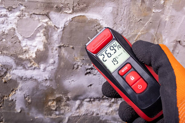 Best Post-Remediation Services in Clarence, IA
