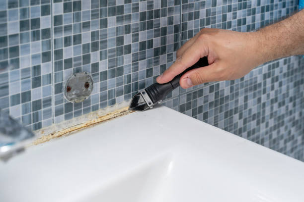 Best Bathroom Mold Remediation in Clarence, IA