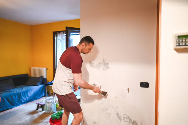 Best Crawl Space Mold Remediation in Clarence, IA